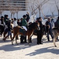 Tradicional procesión cívica en honor de Sant Antoni