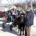 Tradicional procesión cívica en honor de Sant Antoni