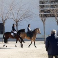 Tradicional procesión cívica en honor de Sant Antoni