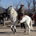 Tradicional procesión cívica en honor de Sant Antoni