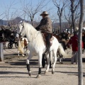Tradicional procesión cívica en honor de Sant Antoni