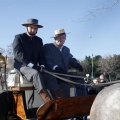 Tradicional procesión cívica en honor de Sant Antoni