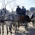 Tradicional procesión cívica en honor de Sant Antoni