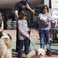 Castellón, Laude British School of Vila-Real