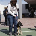 Castellón, Laude British School of Vila-Real