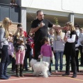 Castellón, Laude British School of Vila-Real