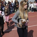 Castellón, Laude British School of Vila-Real