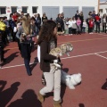 Castellón, Laude British School of Vila-Real