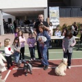 Castellón, Laude British School of Vila-Real