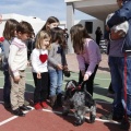 Castellón, Laude British School of Vila-Real