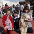 Castellón, Laude British School of Vila-Real