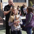 Castellón, Laude British School of Vila-Real