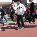 Castellón, Laude British School of Vila-Real