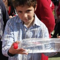 Castellón, Laude British School of Vila-Real