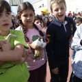 Castellón, Laude British School of Vila-Real