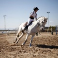 Club Hípico Mediterráneo