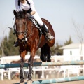 Club Hípico Mediterráneo