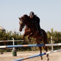 Club Hípico Mediterráneo