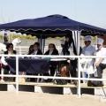 Club Hípico Mediterráneo