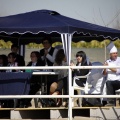 Club Hípico Mediterráneo