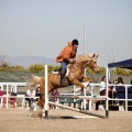Club Hípico Mediterráneo