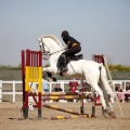 Club Hípico Mediterráneo