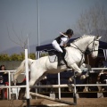Club Hípico Mediterráneo