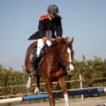 Club Hípico Mediterráneo