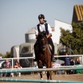 Club Hípico Mediterráneo