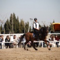 Club Hípico Mediterráneo