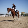 Club Hípico Mediterráneo