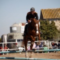 Club Hípico Mediterráneo