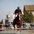 Club Hípico Mediterráneo