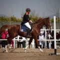 Club Hípico Mediterráneo