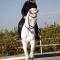 Club Hípico Mediterráneo