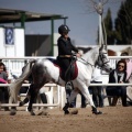 Club Hípico Mediterráneo