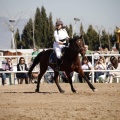 Club Hípico Mediterráneo