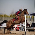 Club Hípico Mediterráneo