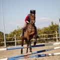 Club Hípico Mediterráneo