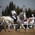 Club Hípico Mediterráneo