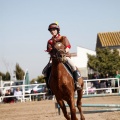 Club Hípico Mediterráneo