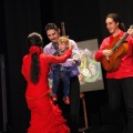 Flamenco solidario en Castellón