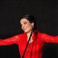 Flamenco solidario en Castellón