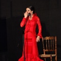 Flamenco solidario en Castellón