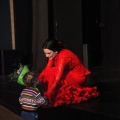 Flamenco solidario en Castellón