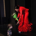 Flamenco solidario en Castellón