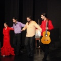 Flamenco solidario en Castellón