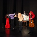 Flamenco solidario en Castellón