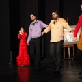 Flamenco solidario en Castellón