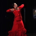 Flamenco solidario en Castellón
